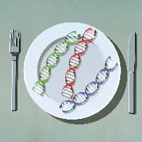 Dieta genética para perder peso en Harper’s Bazaar