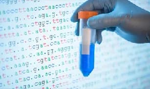 Universal formulas and genetics in La Vanguardia