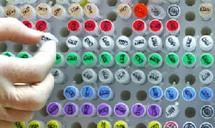 Low-cost genetics in El Confidencial