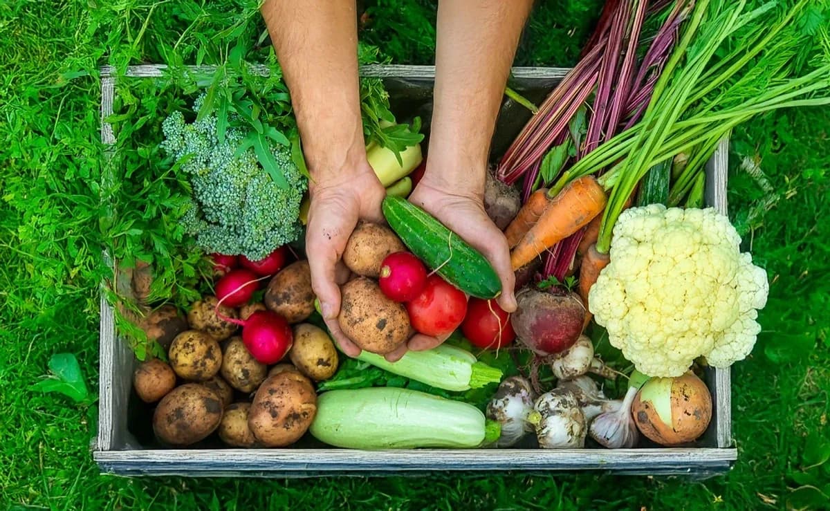 Locally sourced sustainable food and nutrition